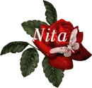 Butterfly Red Rose - Nita