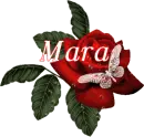 Butterfly Red Rose - Mara