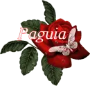 Butterfly Red Rose - Paguia