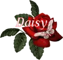Butterfly Red Rose - Daisy