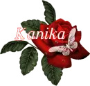 Butterfly Red Rose - Kanika