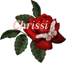 Butterfly Red Rose - Chrissi