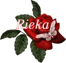 Butterfly Red Rose - Rieka