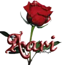 red rose aari