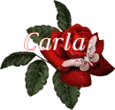 Butterfly Red Rose - Carla