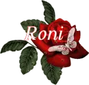 Butterfly Red Rose - Roni