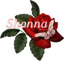 Butterfly Red Rose - Shonna
