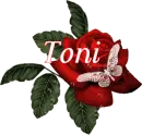 Butterfly Red Rose - Toni