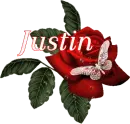 Butterfly Red Rose - Justin