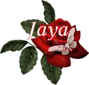 Butterfly Red Rose - Jaya