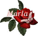 Butterfly Red Rose - Marla