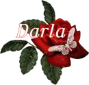 Butterfly Red Rose - Darla