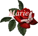 Butterfly Red Rose - Marie
