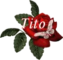 Butterfly Red Rose - Tito
