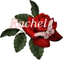Butterfly Red Rose - Rachel