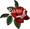 Butterfly Red Rose - Pami