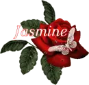 Butterfly Red Rose - Jasmine