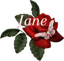 Butterfly Red Rose - Jane