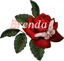 Butterfly Red Rose - Brenda