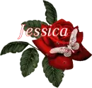 Butterfly Red Rose - Jessica