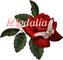 Butterfly Red Rose - Migdalia