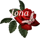 Butterfly Red Rose - Jona