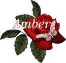 Butterfly Red Rose - Amber
