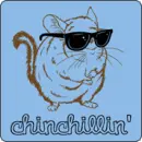 Chinchillin'