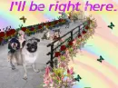 I'll be right here 