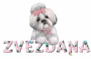 cute dog ZVEZDANA