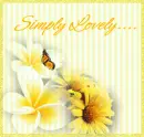 simply lovely