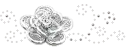 crystal flower