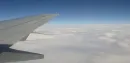 Fly
