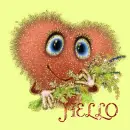 Hello