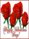 happy valentines day roses
