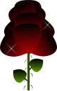 Blood Red Glitter Rose tipped black
