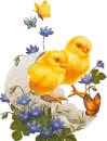 HAPPY EASTER
