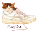 Cat in Shoe - Maythe