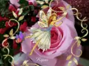 pink rose fairy