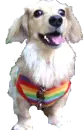 my family dog
