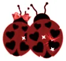 Mr. and Mrs. love bug
