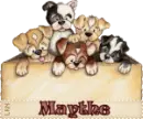 Puppies - Maythe