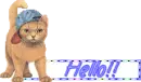 Cat with hat - Hello!!