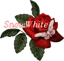 Butterfly Red Rose - SnowWhite