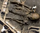 bones