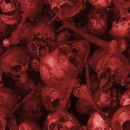 bloody skulls