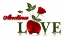 love-Andina