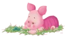 piglet