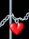 prisoner of love