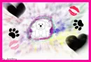 Webkinz